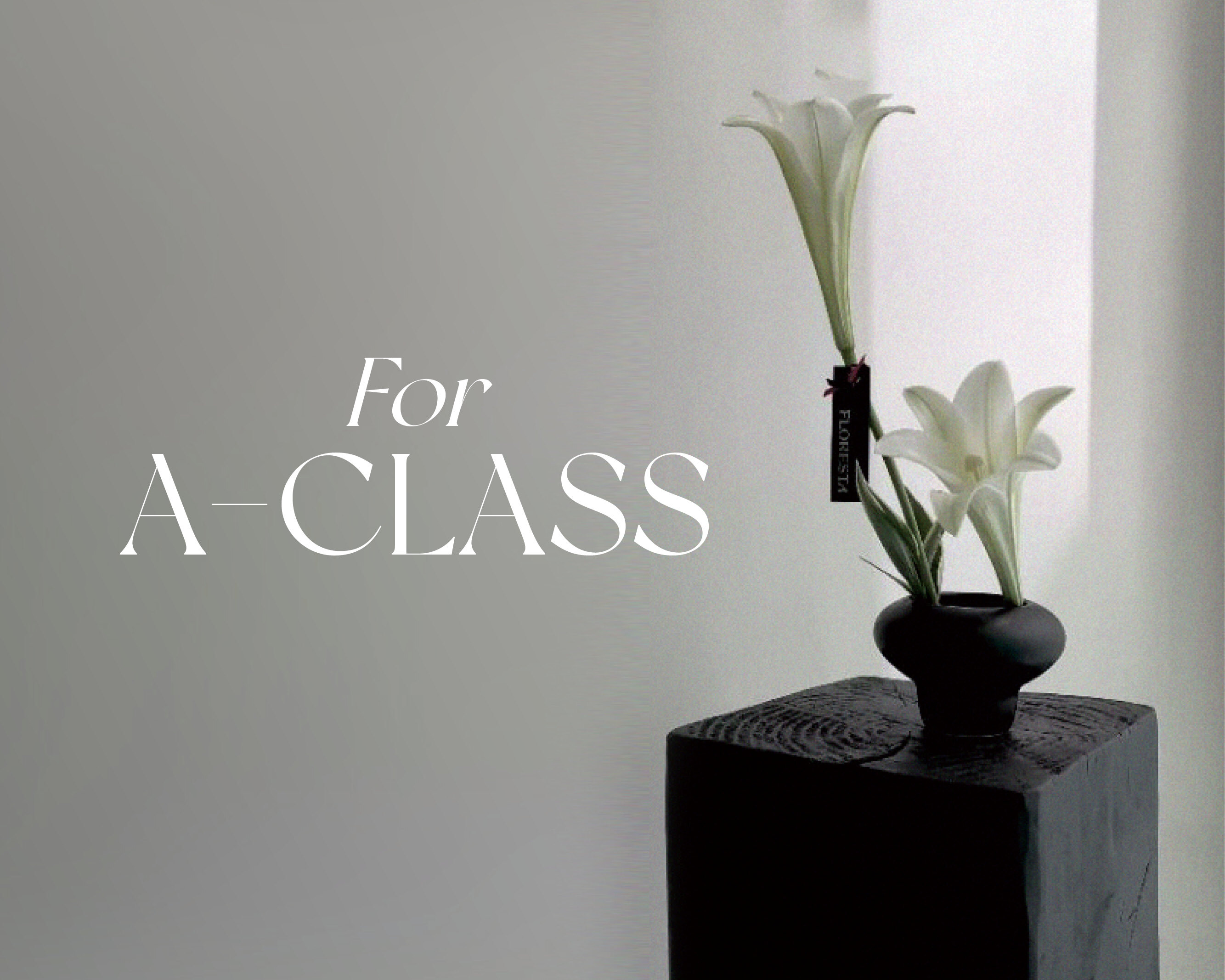 슬라이드이미지