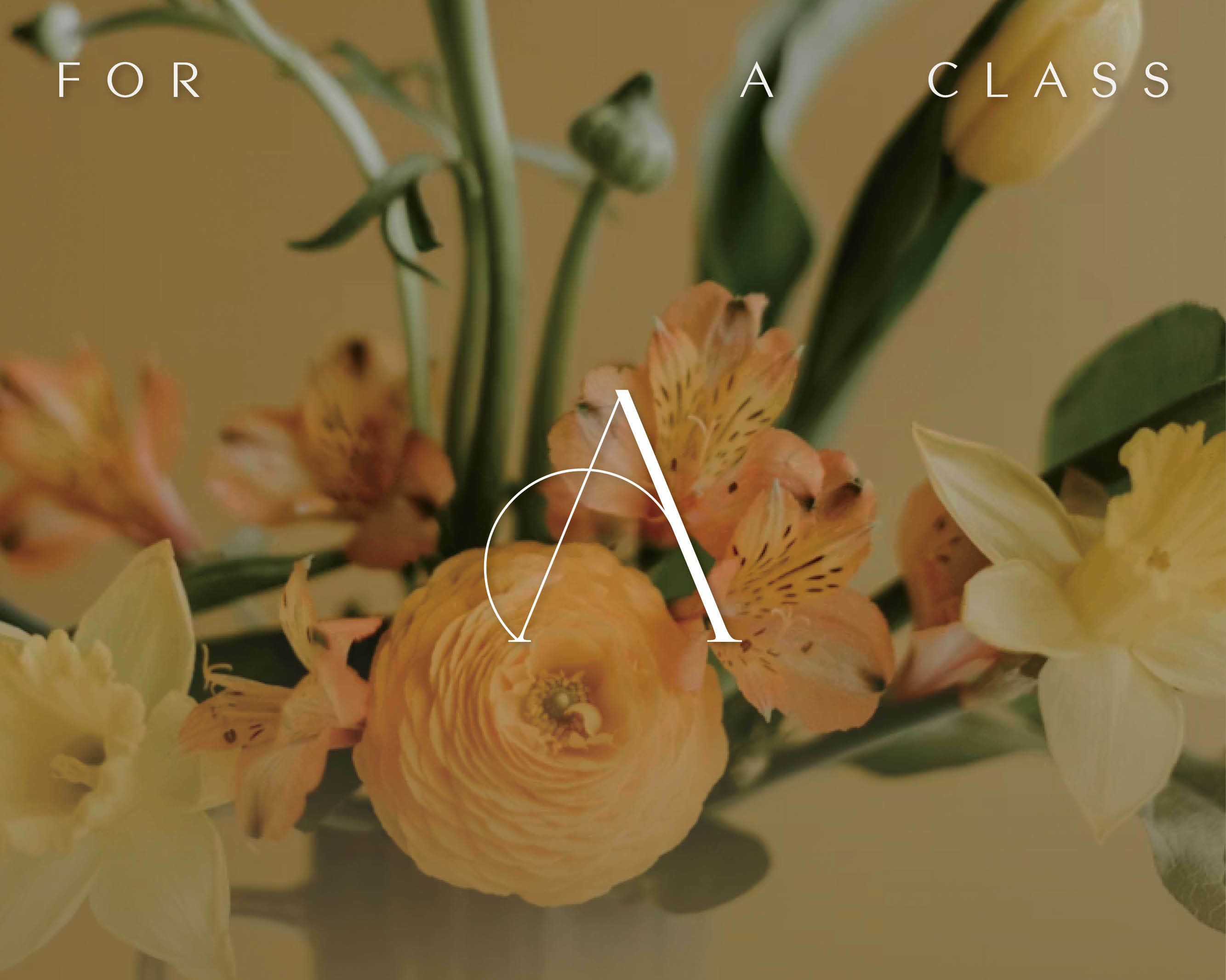 슬라이드이미지