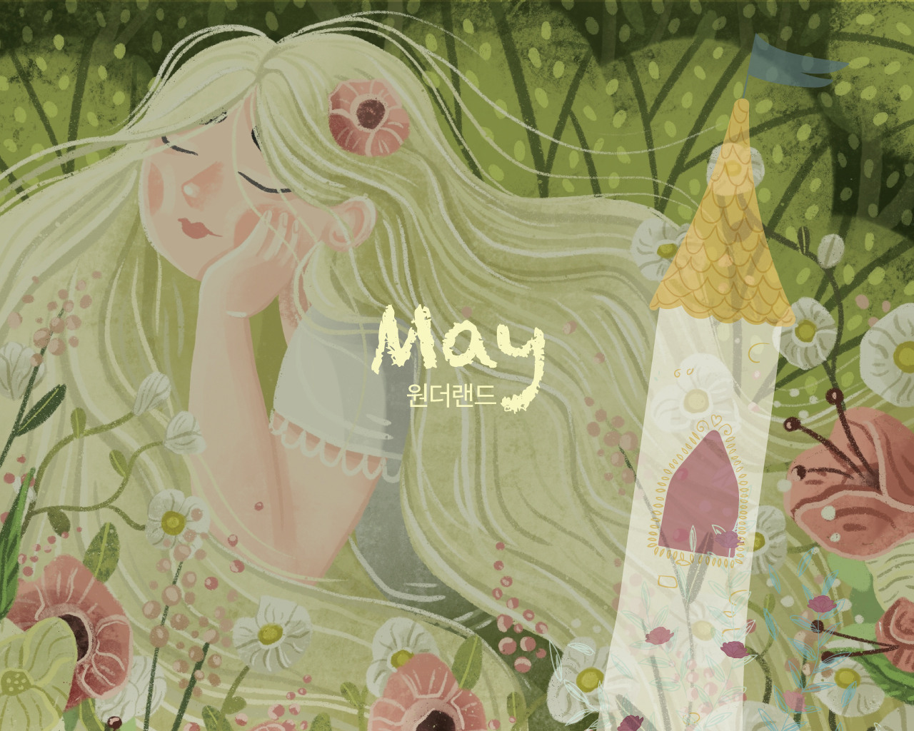 슬라이드이미지