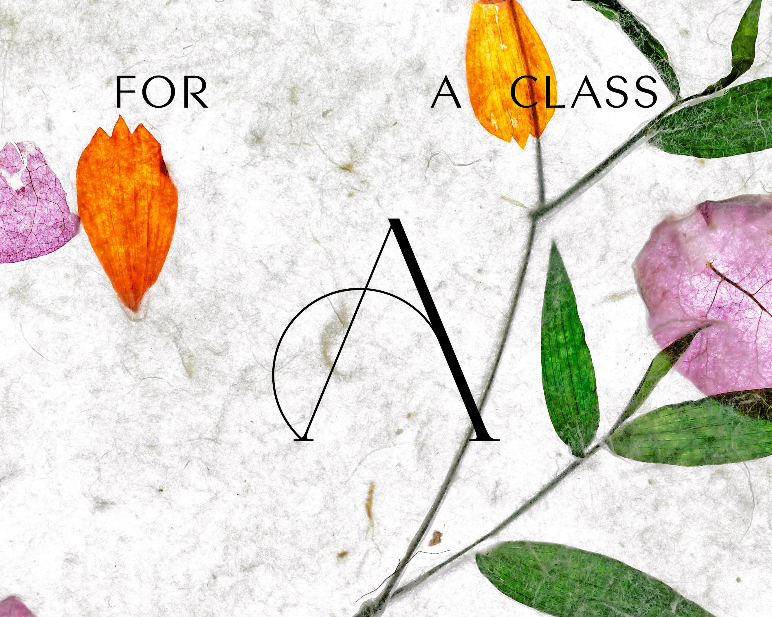 슬라이드이미지